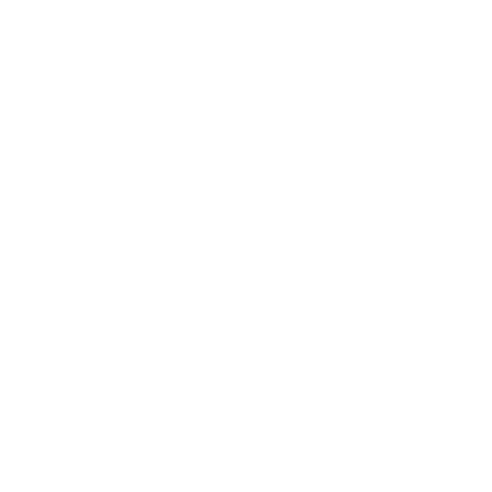 Diana Blanco Logo
